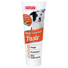 DUO ACTIVE PASTE MULTIVITAMIN DOG 100G