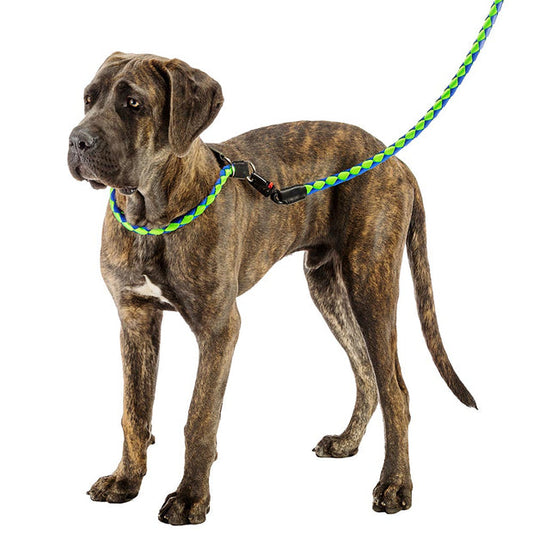 [75375912] Ferplast Twist Matic G Dog Lead Complete With Automatic Snap Hook[Color - Blue, Dimension