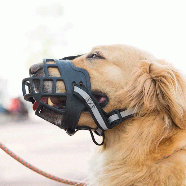 Saas Dog Muzzle XXXL