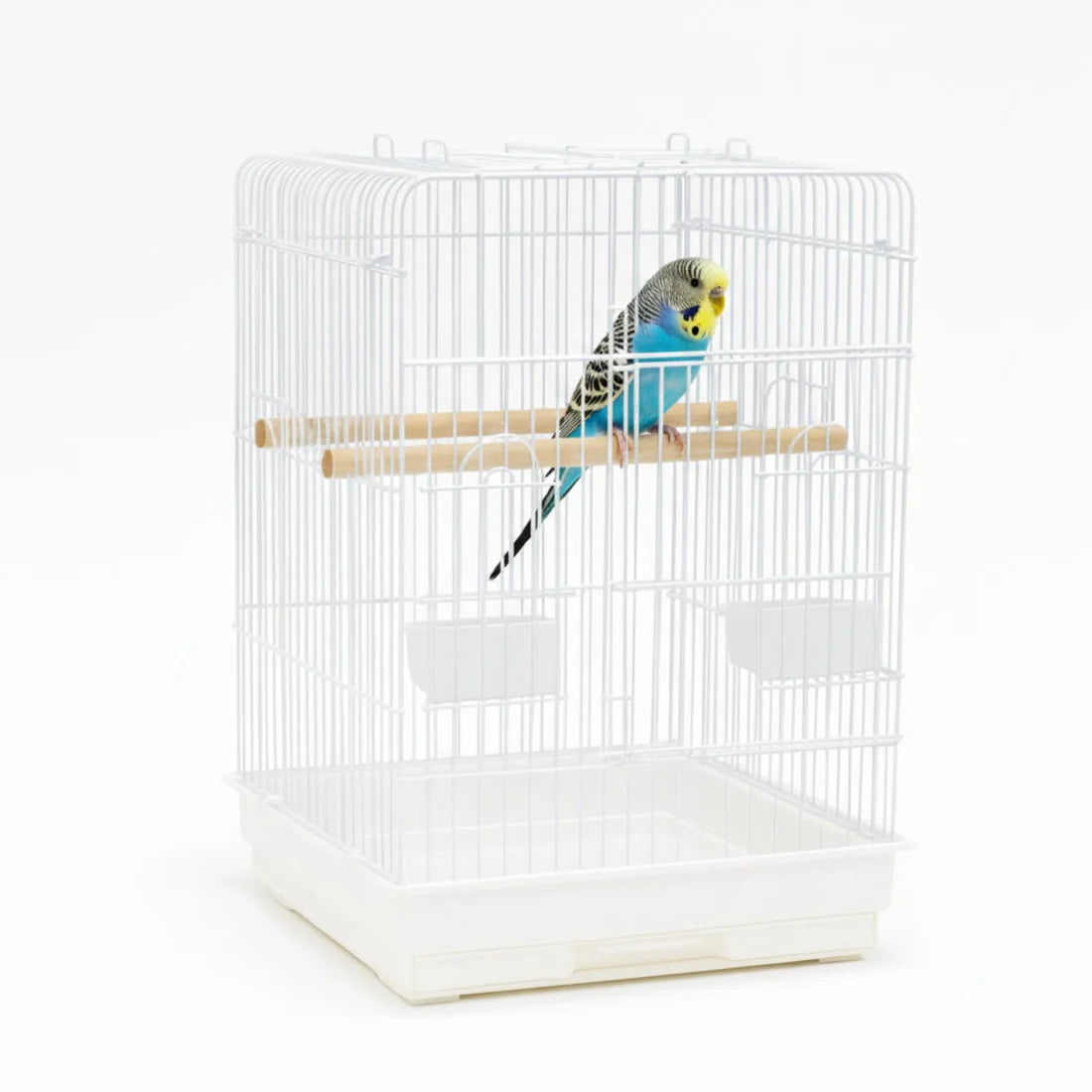 Dayang Bird Cage - 904 (Medium) - 47 x 47 x 66cm