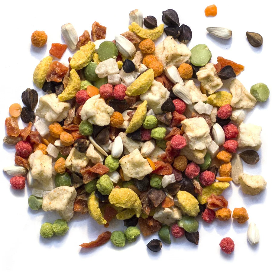 ZuPreem Pure Fun Medium Birds 907g