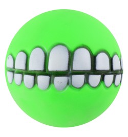 Saas pets vinyl squeaky toys SA2008