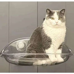 Saas Cat Glass Type Hammock SA3355