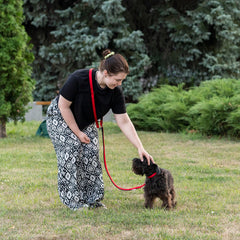 [75354822] Ferplast Daytona GA Nylon Dog Leash[Color - Red, Dimension - 15mm x L 200cm]