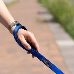 Ferplast Daytona G Nylon Dog Leash Black 20mm