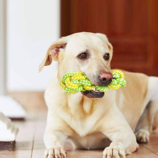 PETS CLUB GREEN & YELLOW CHEW CORN COTTON ROPE DOG TOY, SIZE: 29 cm