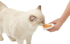 Catit Creamy Chicken With Poulet