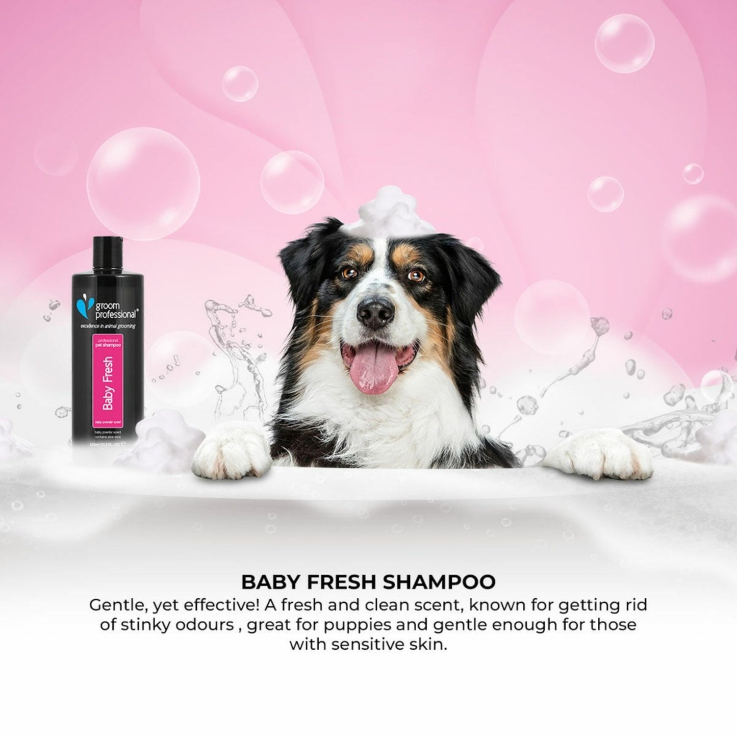 Groom Professional Baby Fresh Shampoo 350ml