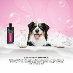Groom Professional Baby Fresh Shampoo 350ml