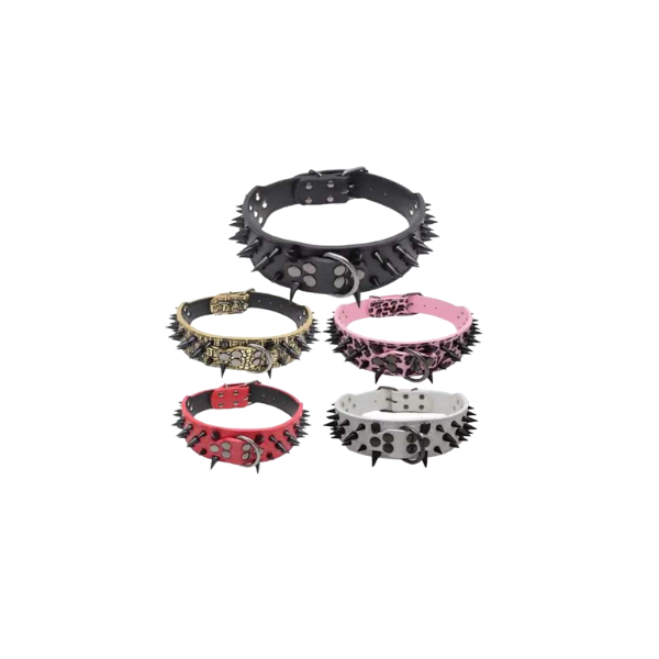 Saas Dog Revert Collar L