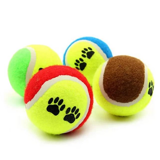 Saas Tennis Ball 2Pcs SA1105