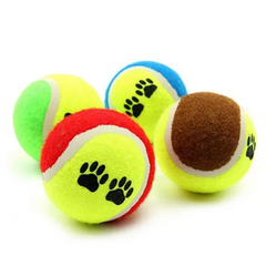 Saas Tennis Ball 2Pcs SA1105