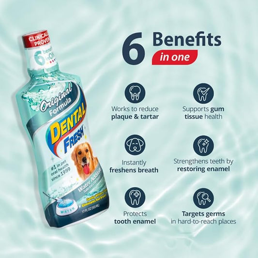 Synergy Labs Original Formula Dental Fresh - Dog 503ml [17 Fl. Oz.]