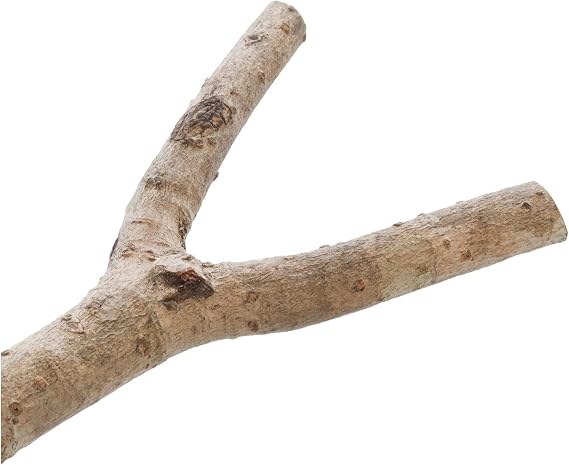 Trixie Natural Living Y-Shape Perch for Birds 20cm Natural