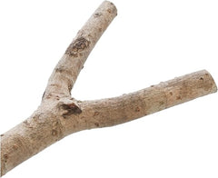 Trixie Natural Living Y-Shape Perch for Birds 20cm Natural