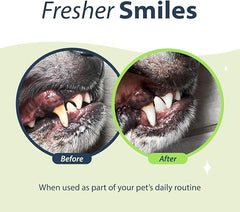Synergy Labs Dental Fresh Original Formula For Cats 237ml