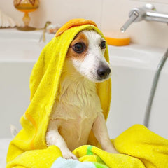 Vet’s Best Oatmeal Medicated Dog Shampoo (16-oz)