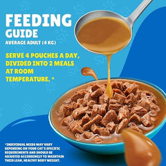 Friskies Gravy Salmon 85g