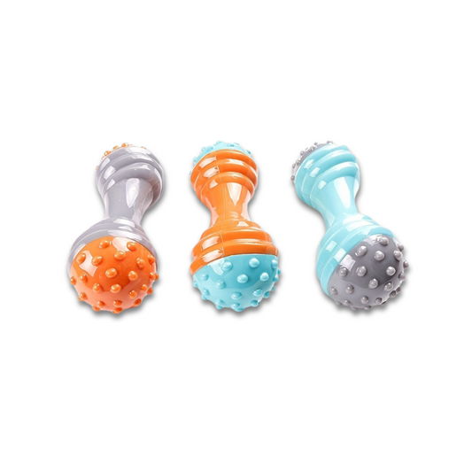 Saas Dog Chewing Toy SA3027