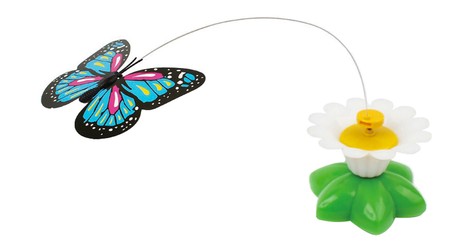 PETBROO Cat Toys PB22034019