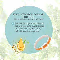 Bioline Flea & Tick Collar Dog 60cm