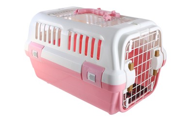 Saas Pet Carrier 49*32*30 Green SA3262
