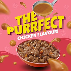 Friskies Junior Gravy Chicken 85g