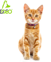 DOCO® LOCO Cat Collar Pattern  Pink Leopard