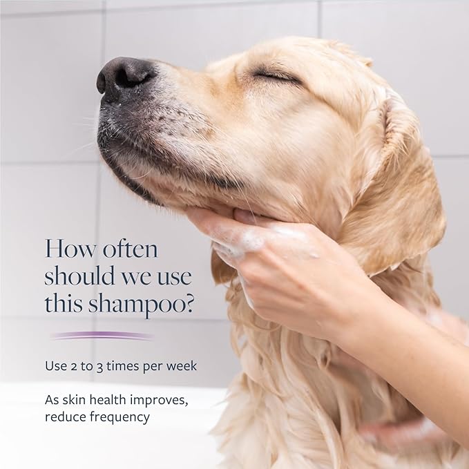 Synergy Labs Veterinary Formula Clinical Care Antiparasitic & Antiseborrheic Shampoo For Dogs 473ml