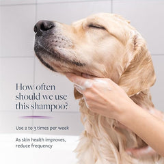 Synergy Labs Veterinary Formula Clinical Care Antiparasitic & Antiseborrheic Shampoo For Dogs 473ml