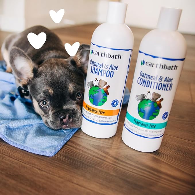 Earthbath Oatmental & Aloe Shampoo