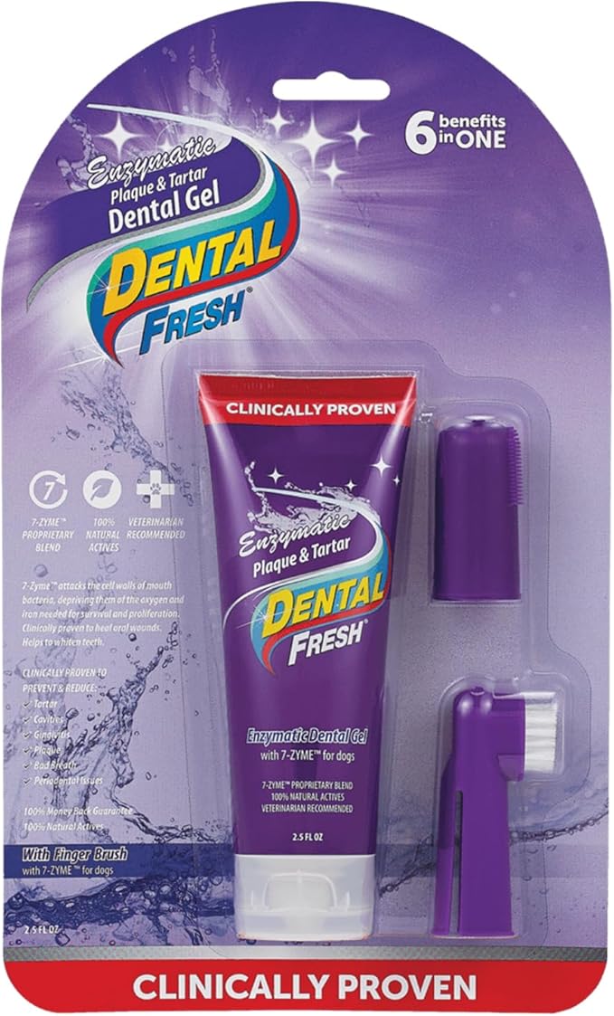 Synergy Labs Dental Fresh Enzymatic Plaque & Tartar Dental Gel with finger brush 2.5 oz - 70.87 g