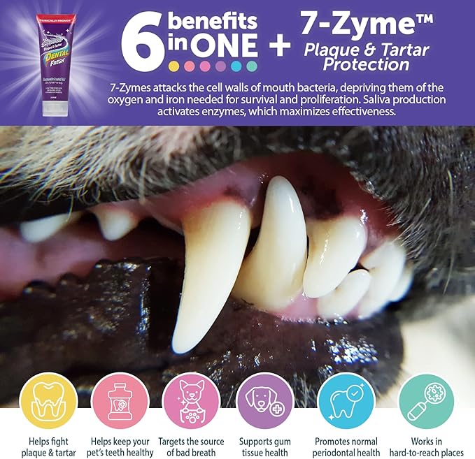 Synergy Labs Dental Fresh Enzymatic Plaque & Tartar Dental Gel with Triflex Brush 2.5 oz - 70.87 g