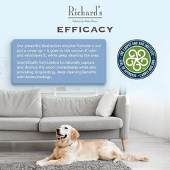 Synergy Lab Richard Organic'S Carpet & Upholstery Stain Remover & Deodorizer