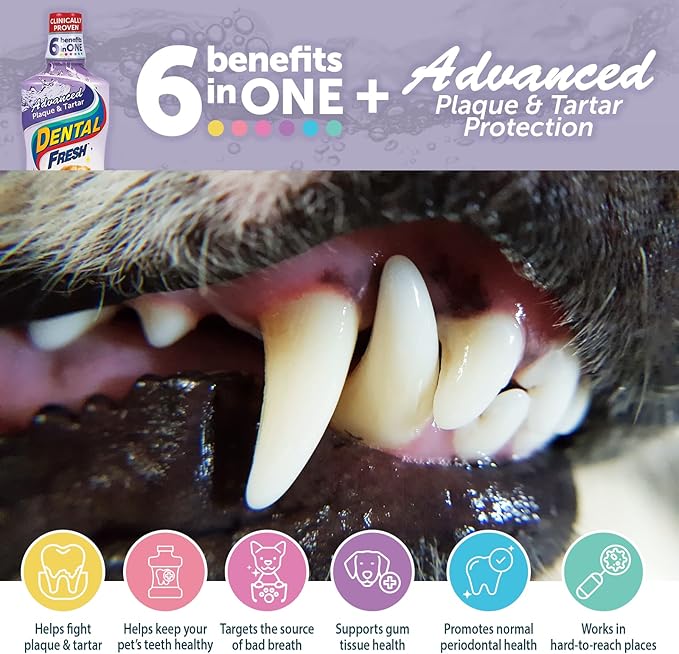 Synergy Labs Dental Fresh Plaque & Tartar - Dog 503ml