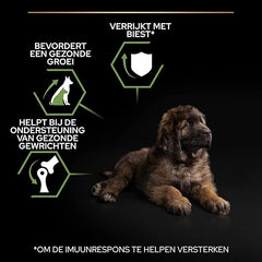 PRO PLAN LARGE ROBUST PUPPY Chkn 12kg