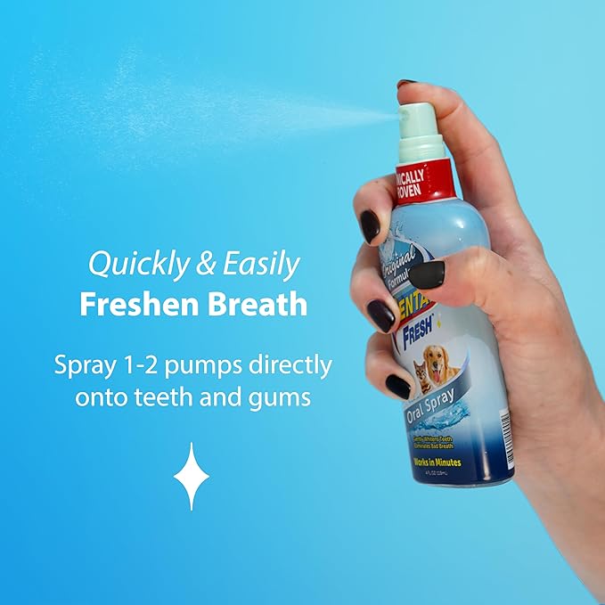 Synergy Lab Dental Fresh Spray 118ml