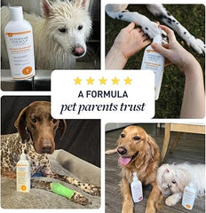 Antiseptic & Antifungal Spray Dogs & Cat
