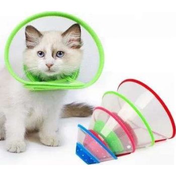 SAAS Elizabath Pet Collar Small