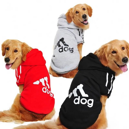 SAAS Dog Sweater Dress XS