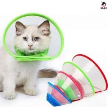 SAAS Elizabath Pet Collar Large 1476L