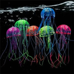Saas Jelly Fish Fluorescent S JF-S050-01