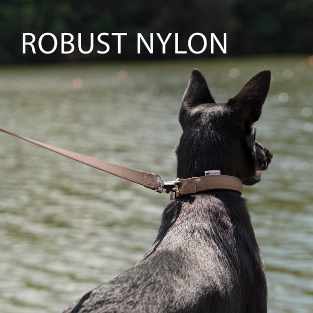 [75334939] Ferplast Daytona G Nylon Dog Leash[Color - Orange, Dimension - 15mm x L 120cm]