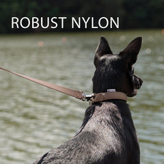 Ferplast Daytona G Nylon Dog Leash Black 20mm