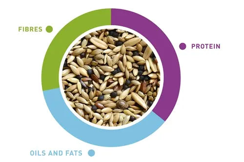 Padovan Natural Mix Canarini 1kg