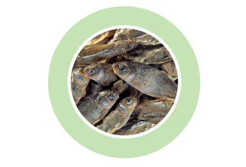 Padovan Fishes 150gm