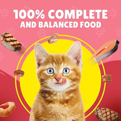 Friskies Junior Gravy Chicken 85g