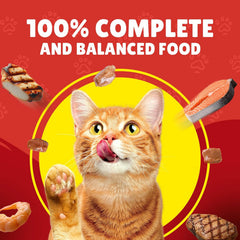 Friskies Gravy Turkey 85g