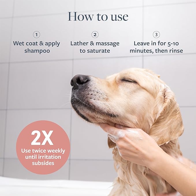Synergy Labs Veterinary Formula Clinical Care Hot Spot & Itch Relief Medicated Shampoo For Dogs & Cats[Volume - 473ml]