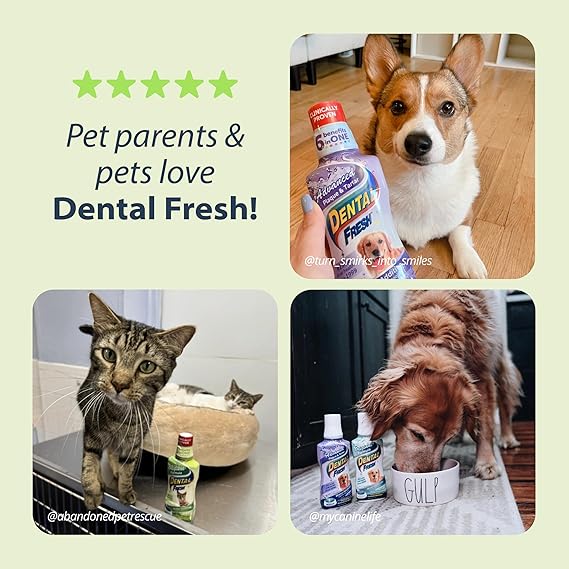 Synergy Labs Dental Fresh Original Formula For Cats 237ml